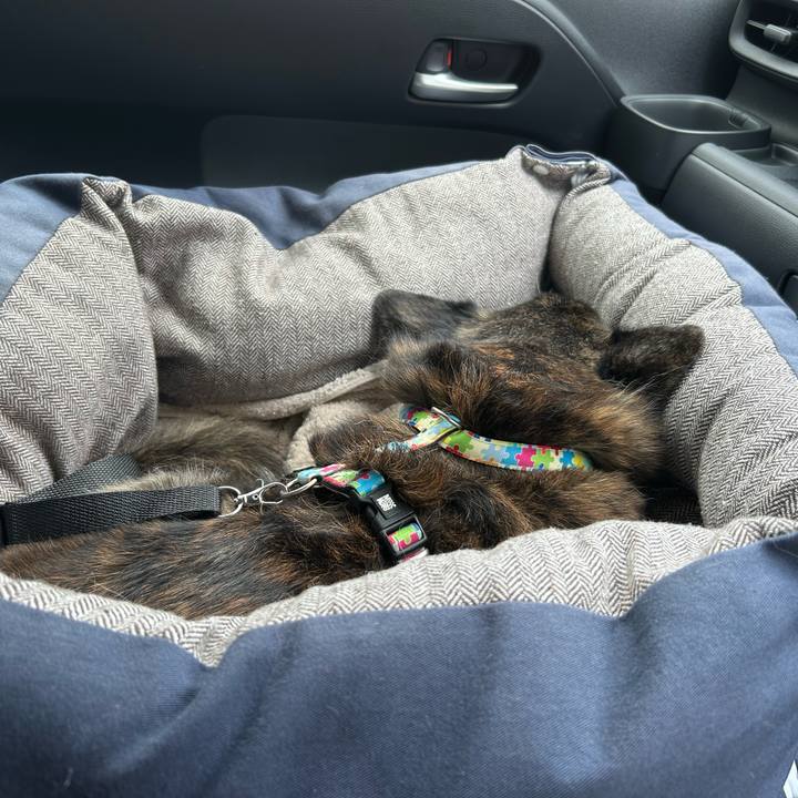 22624ac1 bddf 47a7 88a0 177d4a2f152f 1747001273831