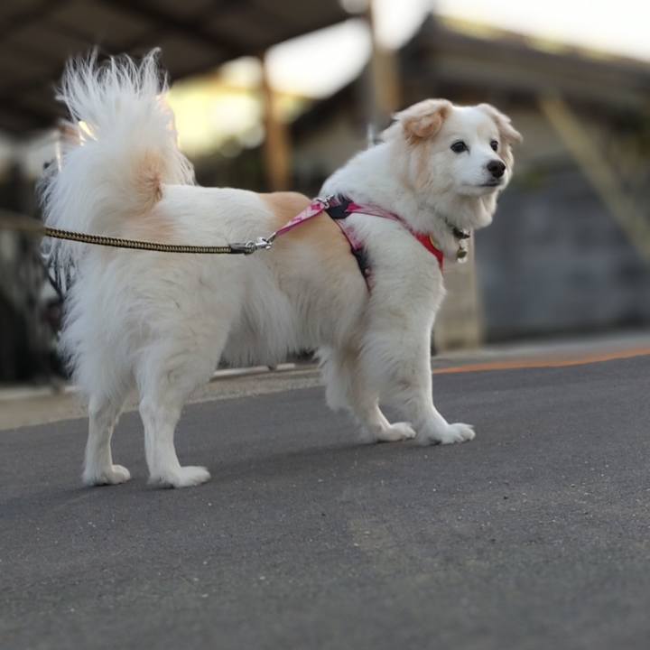 22624f0a bb6d 48c4 b104 5e25af1555b9 1647381446218