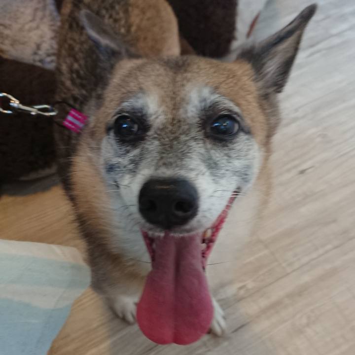 226259a5 59e5 4306 bfc9 e156359db18c 1540699531364