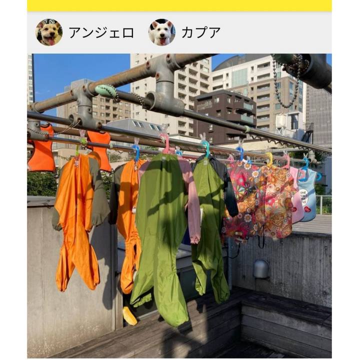 22627a31 5f50 469c b6b0 c89df49cbb8d 1626584668861