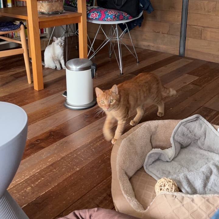 22628d07 4d08 481b 913a 9a28c5d6c51f 1734006090901