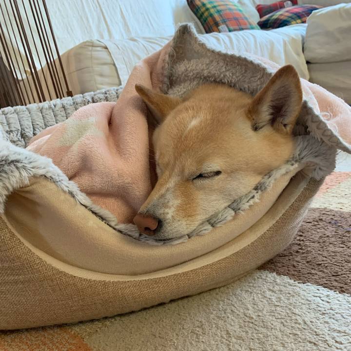 22629f92 4c27 48e3 966a a7db44c9b807 1636068110467