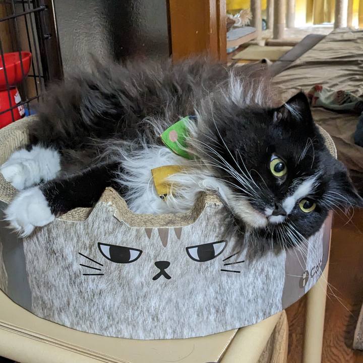 2262a4ee 8676 4118 ba16 bb3ff9bf0acc 1696634874032