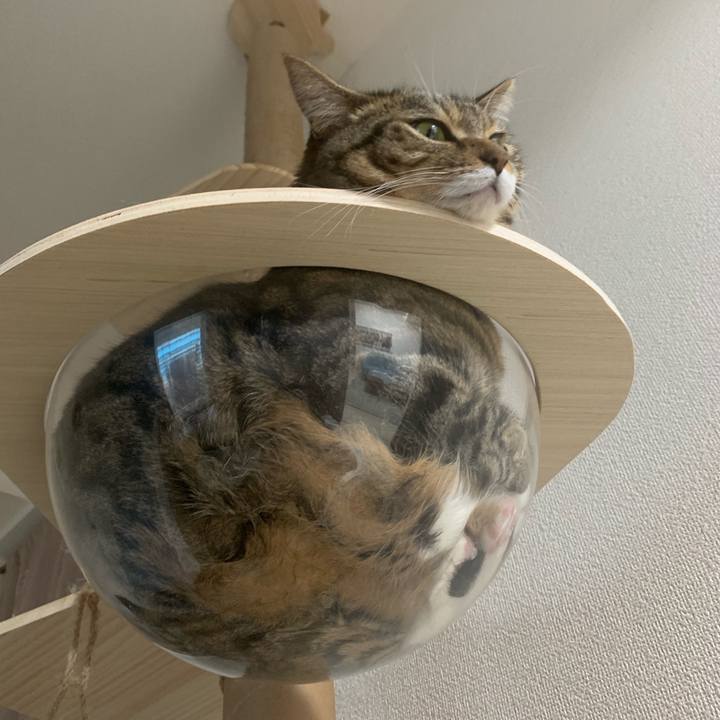 2262dddd a040 4933 83f4 6a720d231866 1631106981724