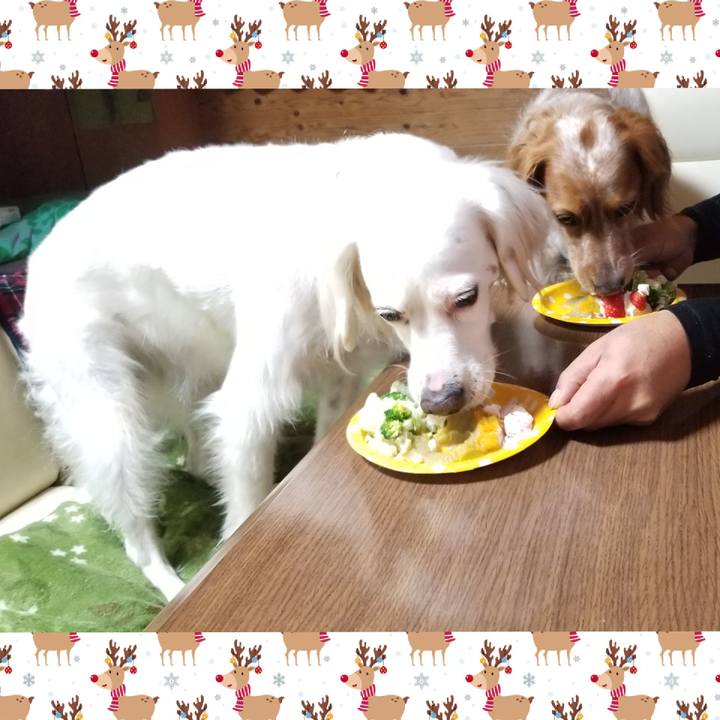 2262e320 0b4f 466f 8666 28d5b8aa9b7d 1608898320070