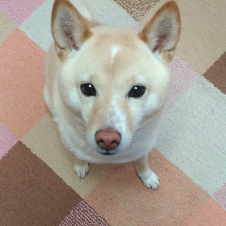 2262edf7 1454 4864 97f4 815f74f0ca7c 1582150969376