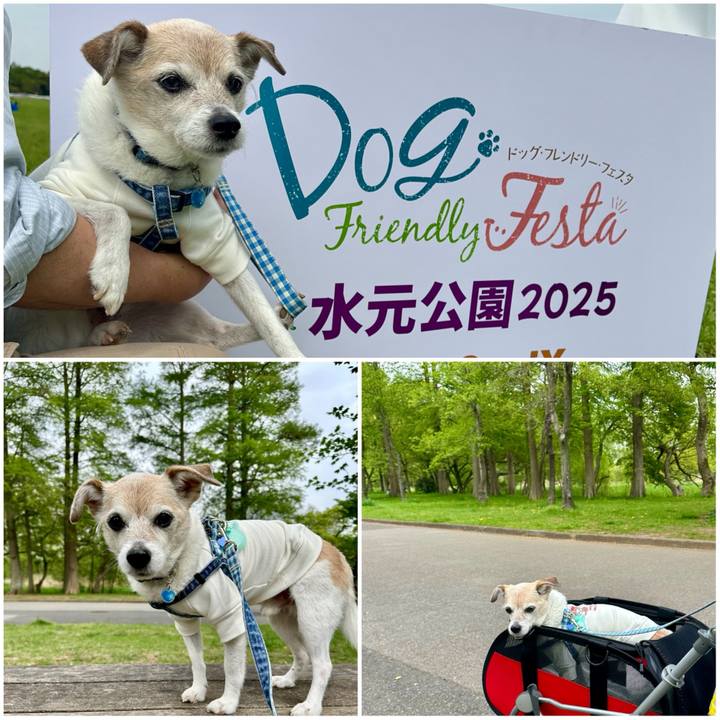 22634362 d29c 41f5 bfec 95ca84ae322f 1745148021810