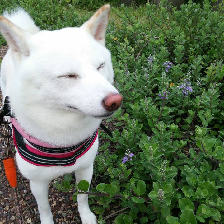 22634c1d 6b3d 4885 80e1 b7c6b700024d 1563186414037