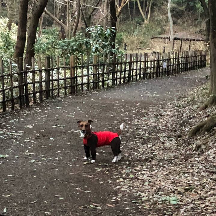 226376de 1346 410a 8892 60a47be9c51e 1520462113695