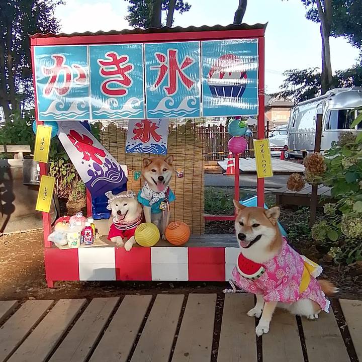 2263ec90 7c12 402c 8f7a 1348c58c21bf 1692936845320