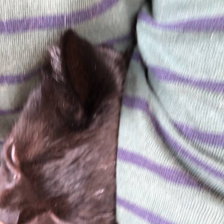 2263ffe3 fc46 49c1 b76b e163ddc8a2aa 1588394276618