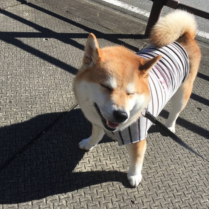 2264329a 031a 4ea9 b7d9 ca40126bc7b6 1542251406114