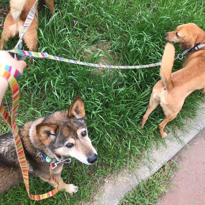 22643408 e8ae 48bb bbda e6b85ab6b8b9 1525655999161