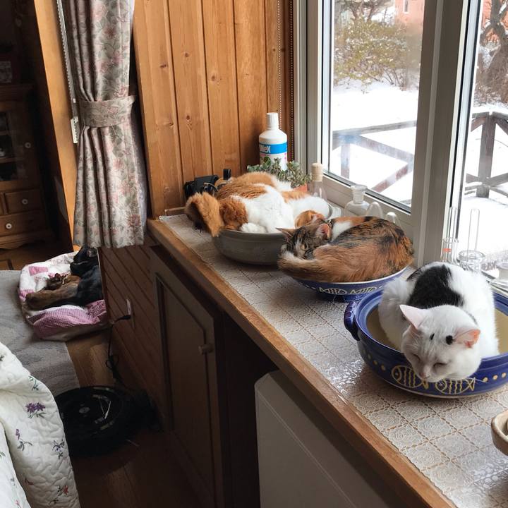 22643706 0af0 43c3 b827 c55a98b7f74f 1607834655387