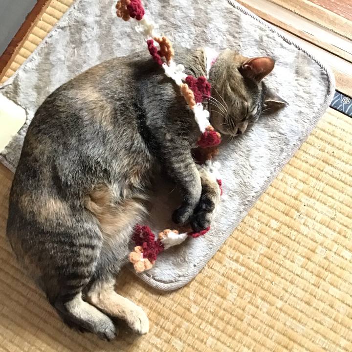 2264669d 662c 477d 9149 158a76aaa416 1651816589221