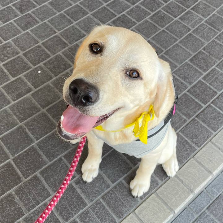 22648c96 92dd 4be2 a6cb 01ded5311365 1623244365503