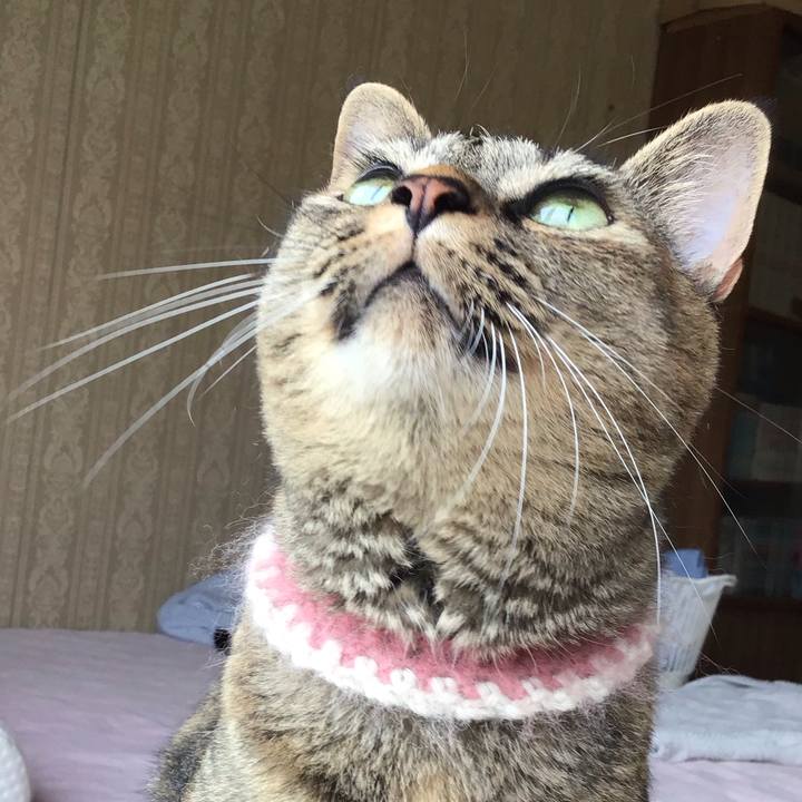 2264c001 746f 4f7a 94a4 d6b567872126 1658916265547