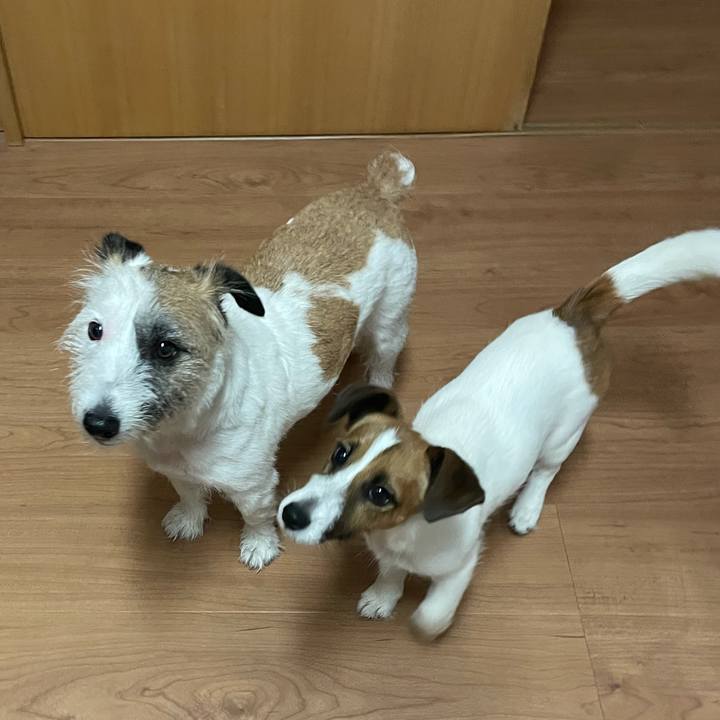 2264efdf 47c2 4dc1 8093 d3d5f09fccbd 1623973639339