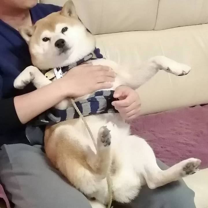 22651fe0 fe20 4de6 ae78 a9d95d54da40 1577700746753