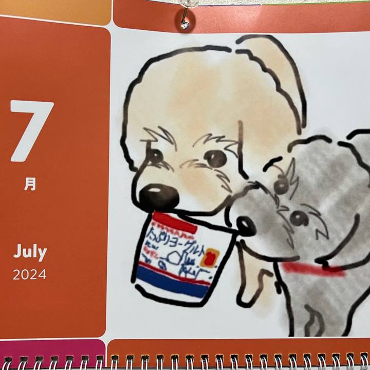 226542fc 551f 405e a5ed 259072b8b65d 1719806233455