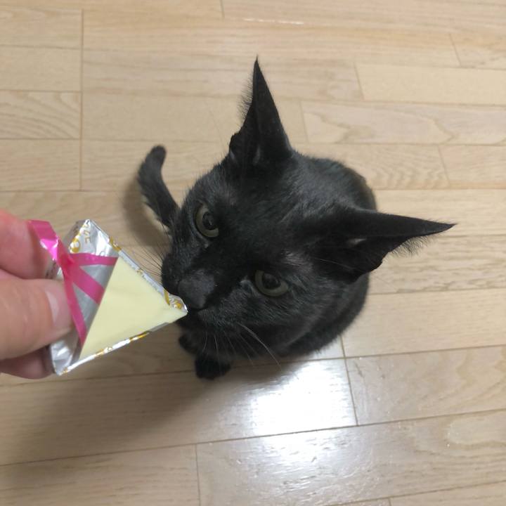 226546ff e504 47b7 9780 9e52e7e3353f 1629892736999