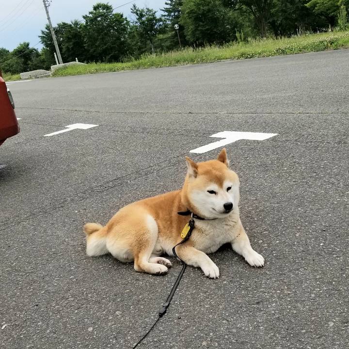 226579cf 3ca7 4148 9f6c 00f997d21c68 1592465104770