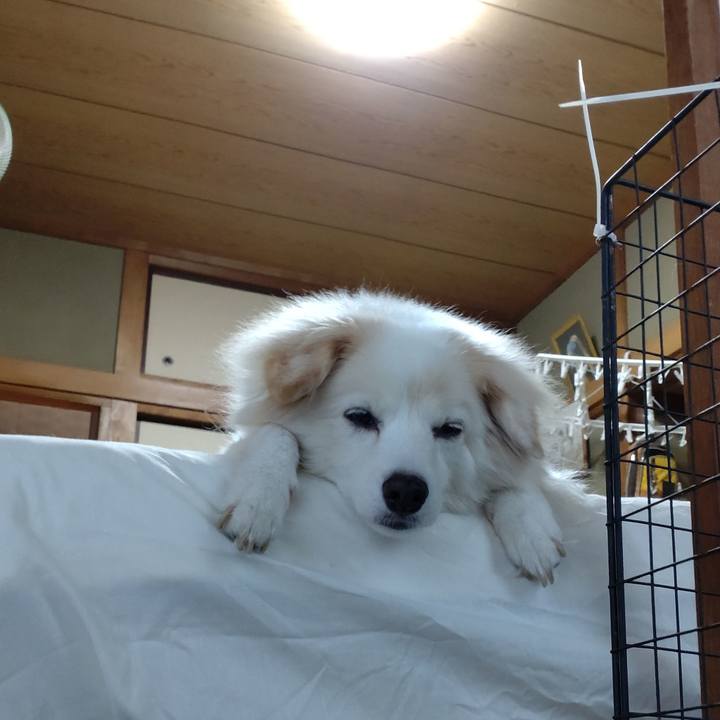 2265c9f9 248f 460c 813a c9db08f487e9 1665881289993