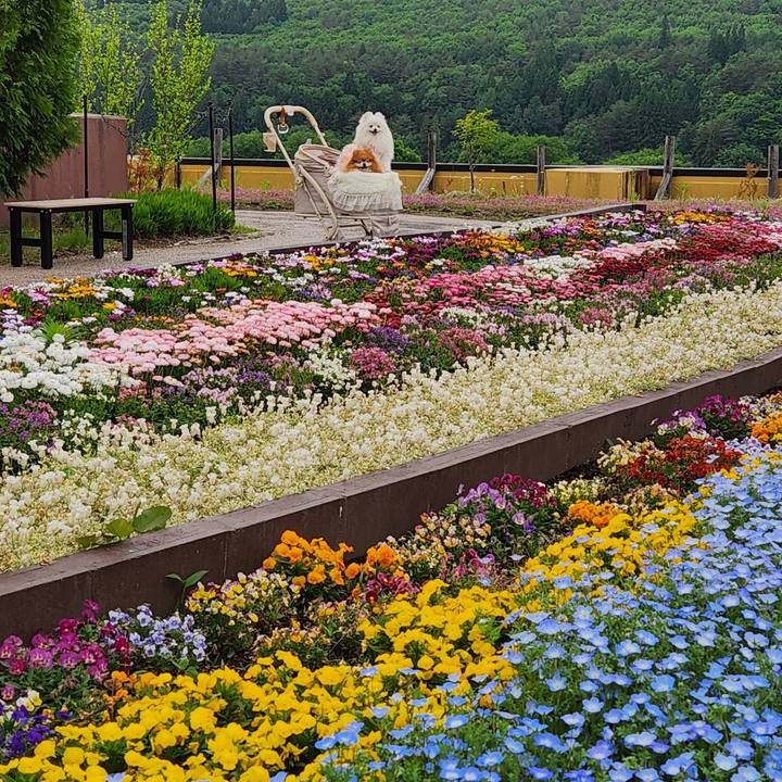 22661bc3 ad0e 44e1 8694 31a43a38d70a 1780757369145