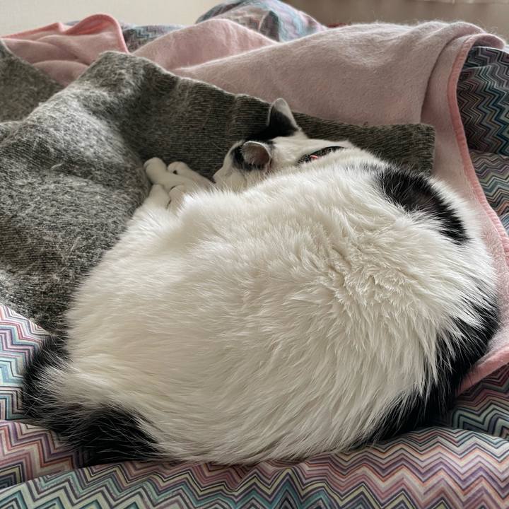 22662790 3c21 4bec 9526 c6dd272b4bf5 1697857911221