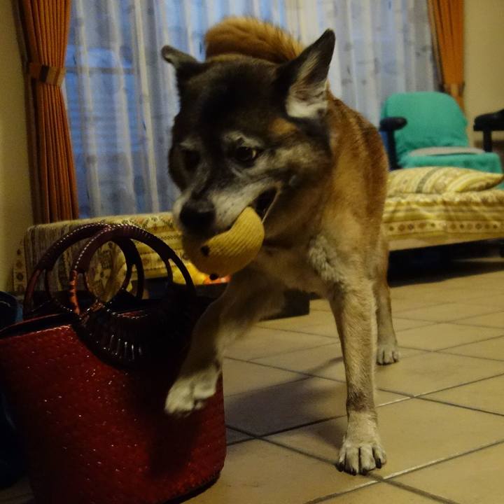 22664ea5 bb97 4f7d 961e f0bb072f1947 1642382741610