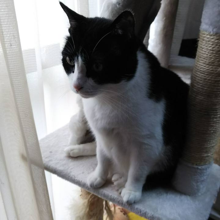 22668185 5113 41c0 b6aa f716701ebecc 1529212327482