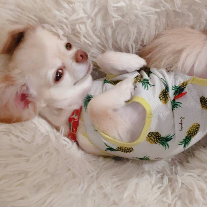 2266d7f4 1f52 4988 a438 da6a7ab56dba 1756734432298