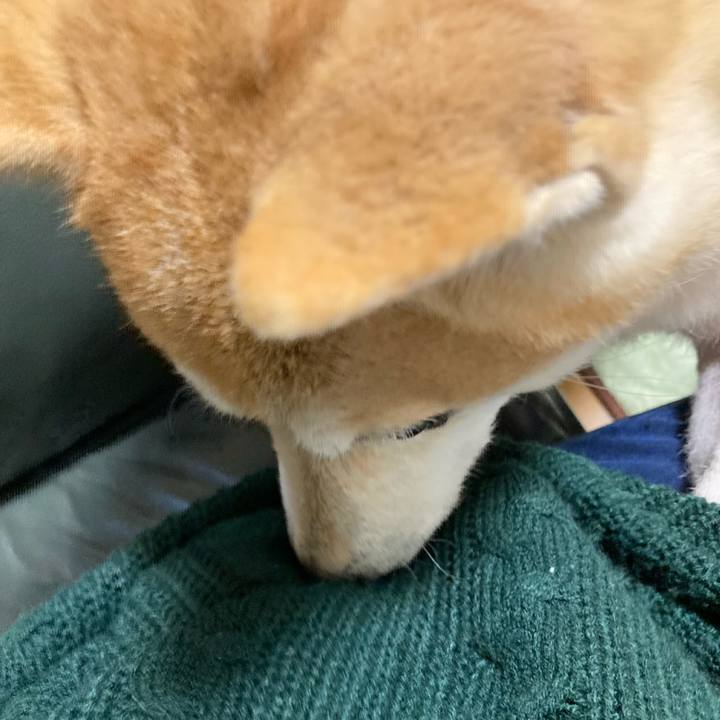 2266e448 92b0 46b1 bb27 b37ea8acd4f0 1640353392114