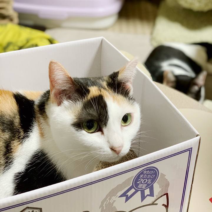 2266fde2 edf4 4291 830a c25831780638 1540605854896