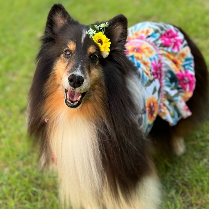 22670240 23a3 435b 9b3c b4a6a122aecc 1718386787699