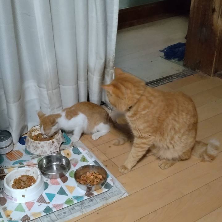 2267104a 2d8f 41de 8819 616e2563276a 1724667389571