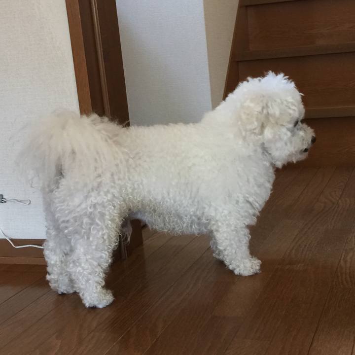 22672f76 e2b4 4f44 aea1 ae98bf2865eb 1529363095979