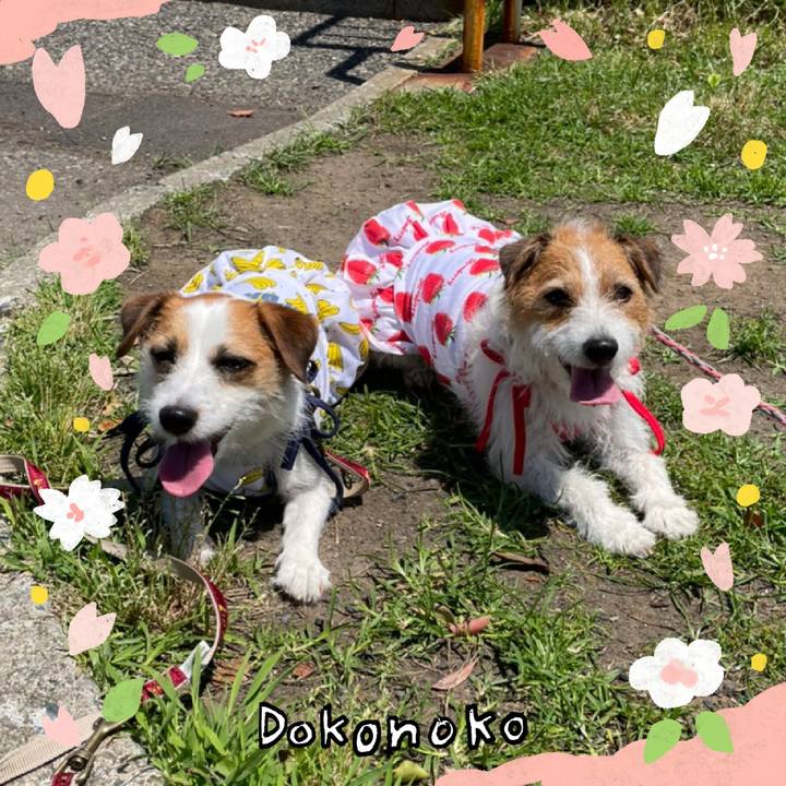 226759b7 24e0 4b51 a784 ec56ca8d1b82 1711586606424