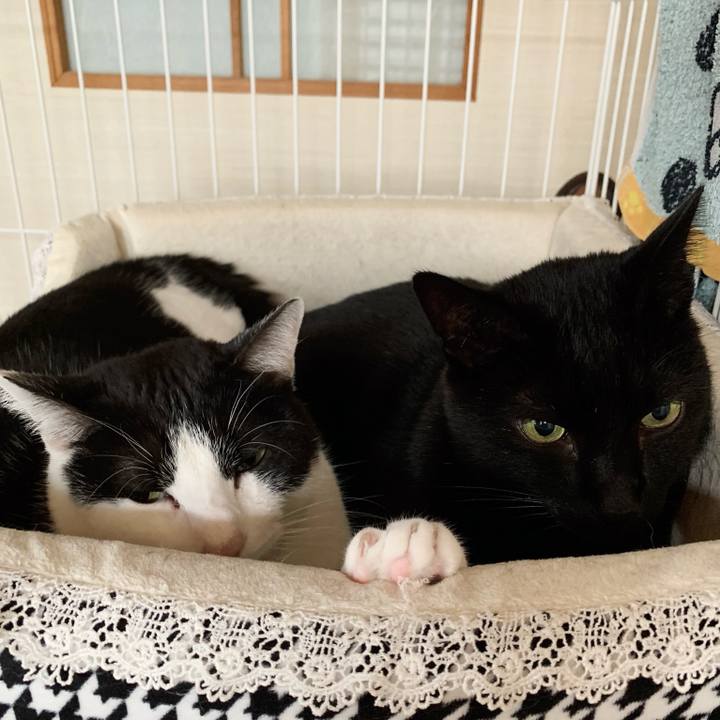 22677dcf 784c 40c5 9afa 5056c21be77f 1547086927243