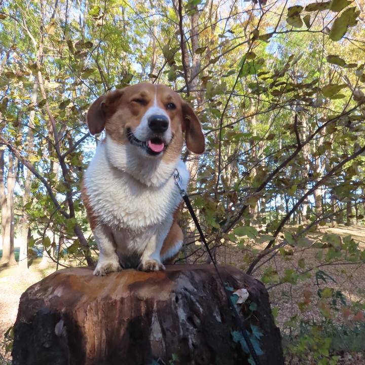 22678bfb 874d 4fcc 827e 12c25863793c 1638153589270