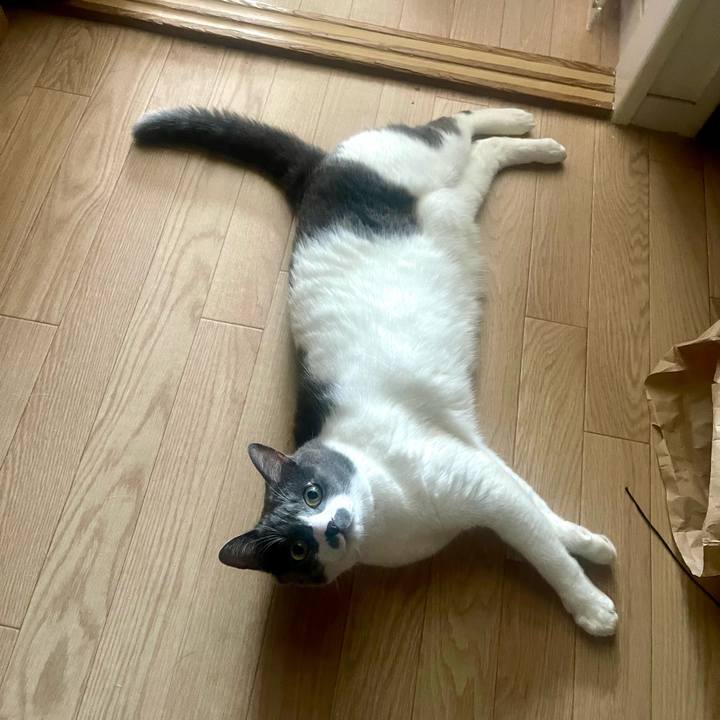 22679c52 41a1 4528 8026 f07062206034 1725404077777