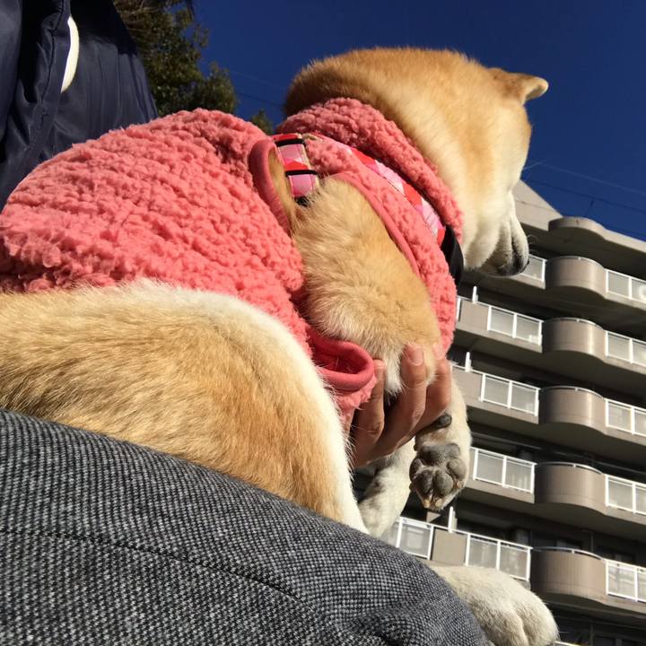 2267b60d 4769 47aa 9b1c b0f1977b4723 1546065889813