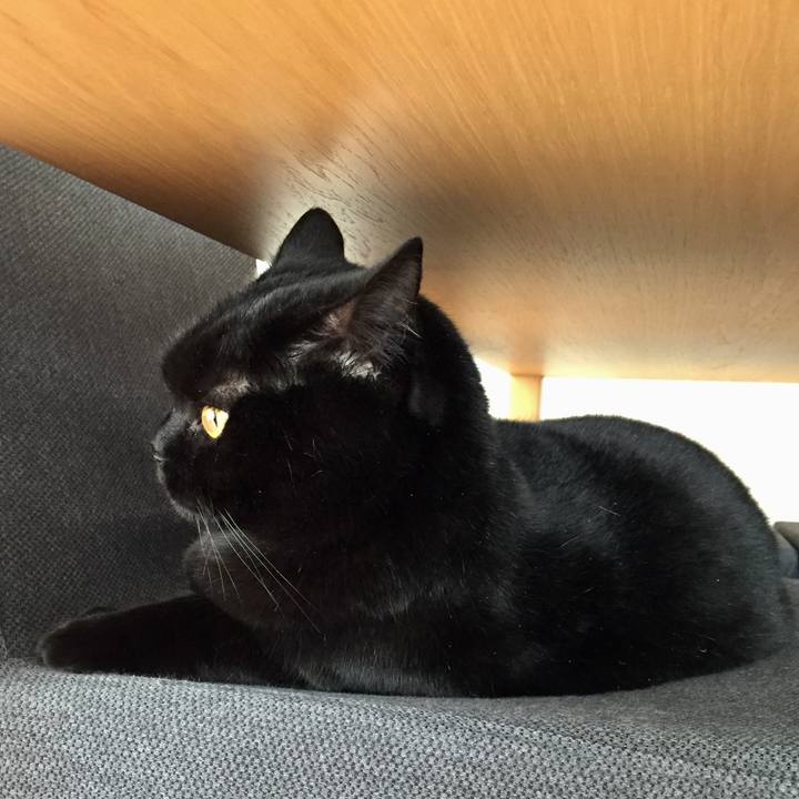 2267c377 cf2b 4968 bba5 dcab3a74ad7c 1584664724265