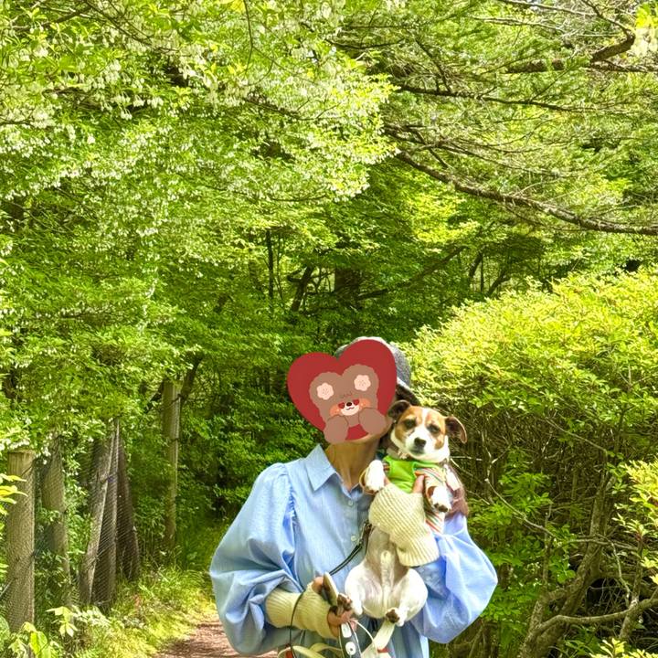 2267dfb3 8ccd 490e 9530 344e7ddad734 1747572371136