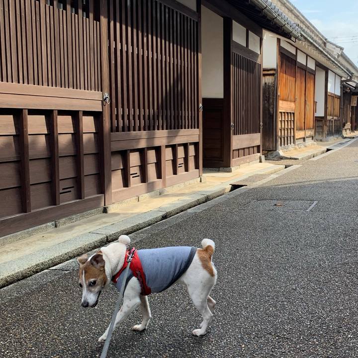 22685aa9 f0f2 4988 9261 34ff6443284b 1583031019175