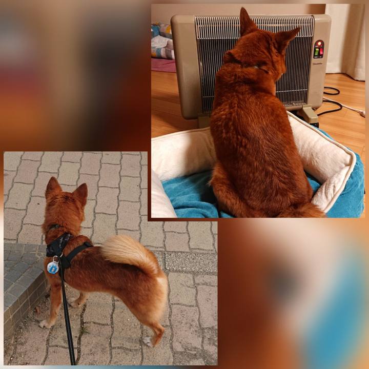 226861bc e6f8 4036 b0d5 47fb9de9d282 1606044805502