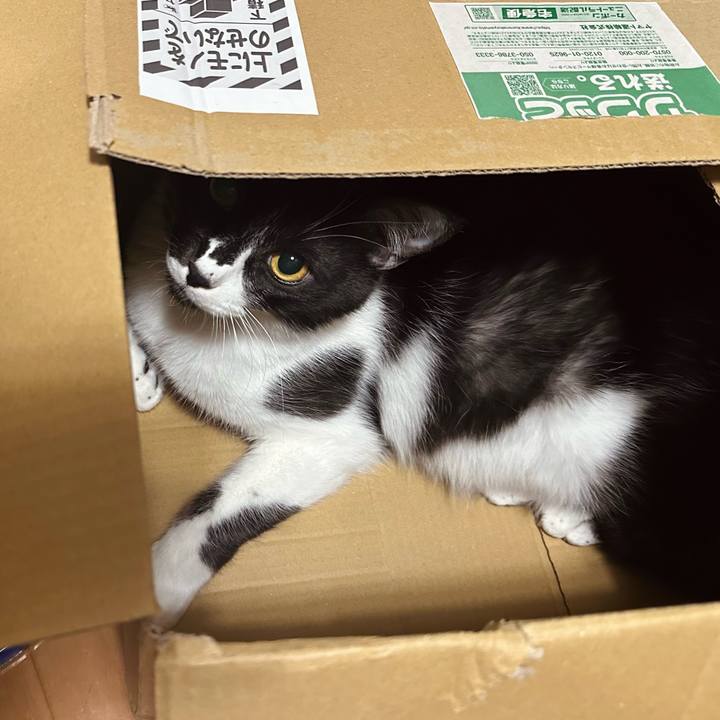 22687b55 1f0d 4632 9042 2dbc3b71a006 1768383082888