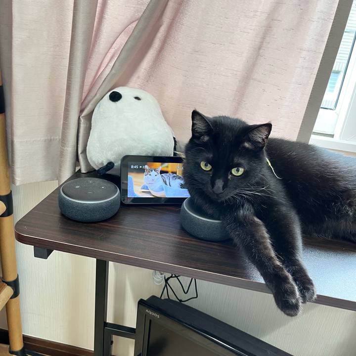 2268b130 7462 40db be1a a23691bc2b4d 1716860350753