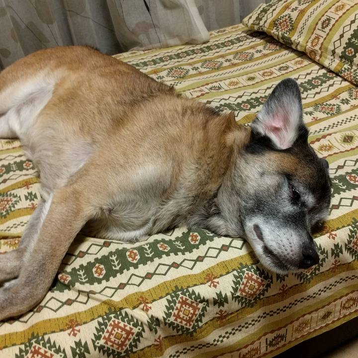 2268b206 96af 4a11 a14f 865a8d2d1b7b 1538921413454