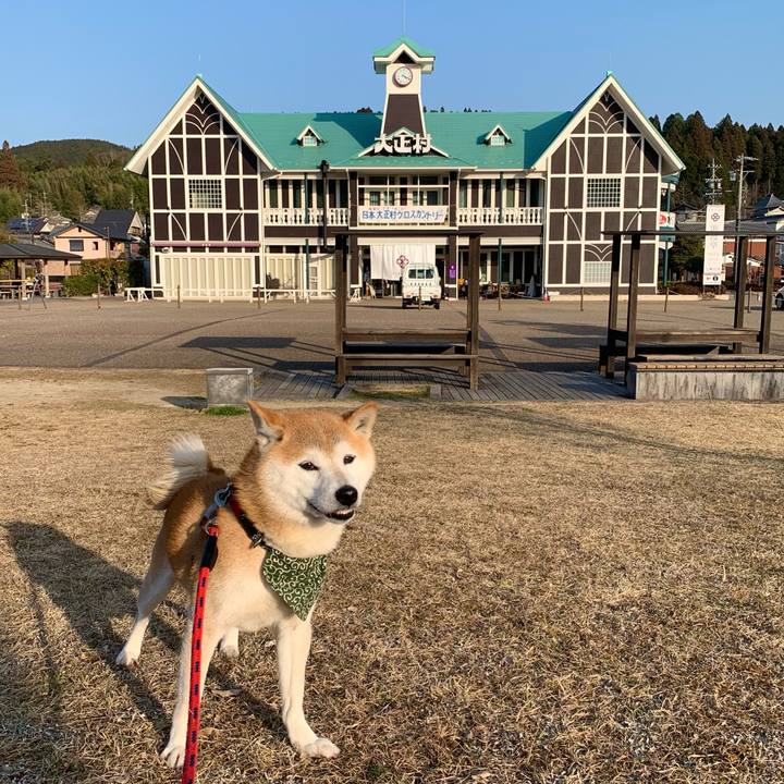 2268b4ee cf25 462b b8cf 76b1d769b4b0 1678179065041